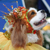 Pet Masquerade and Parade 2004 photo - Duval Street, Key West